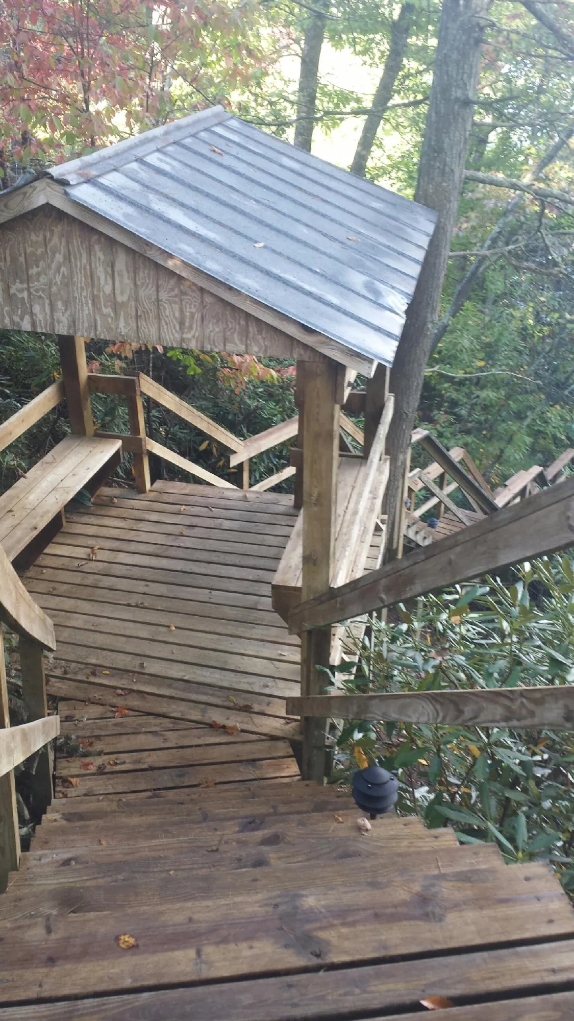 Metal roofed shelter over wooden steps on a wooded walkway — Skylight Repair & Installation work by our crew in Niwot